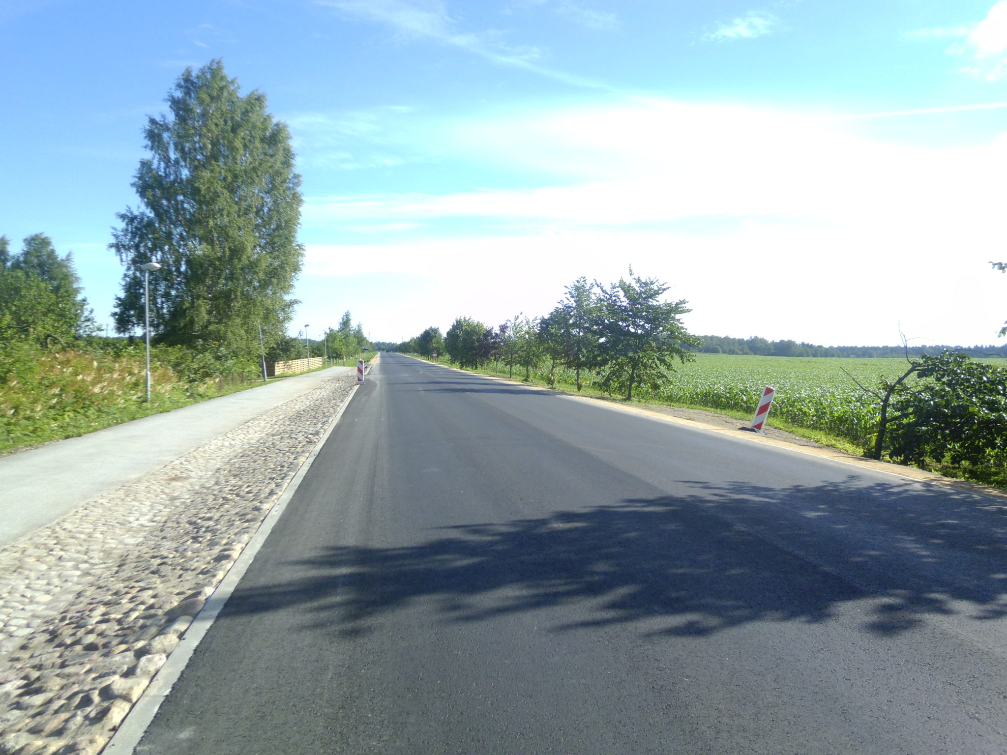 Riigitee nr 15 Tallinn-Rapla-Türi km 51,47-59,58 remondi omanikujärelevalve teostamine