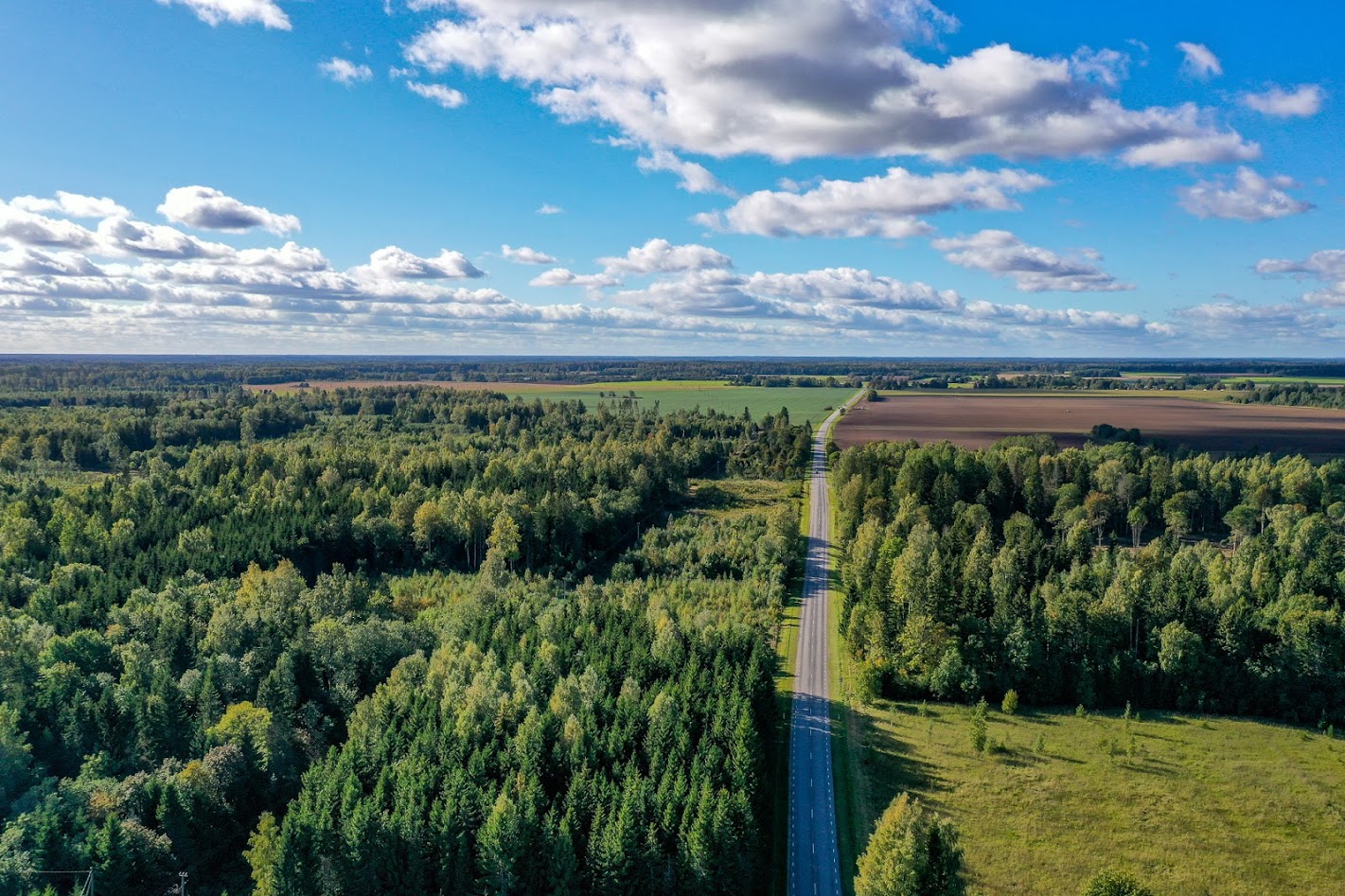Veebiseminar – Teedeobjekti elukaar III moodul