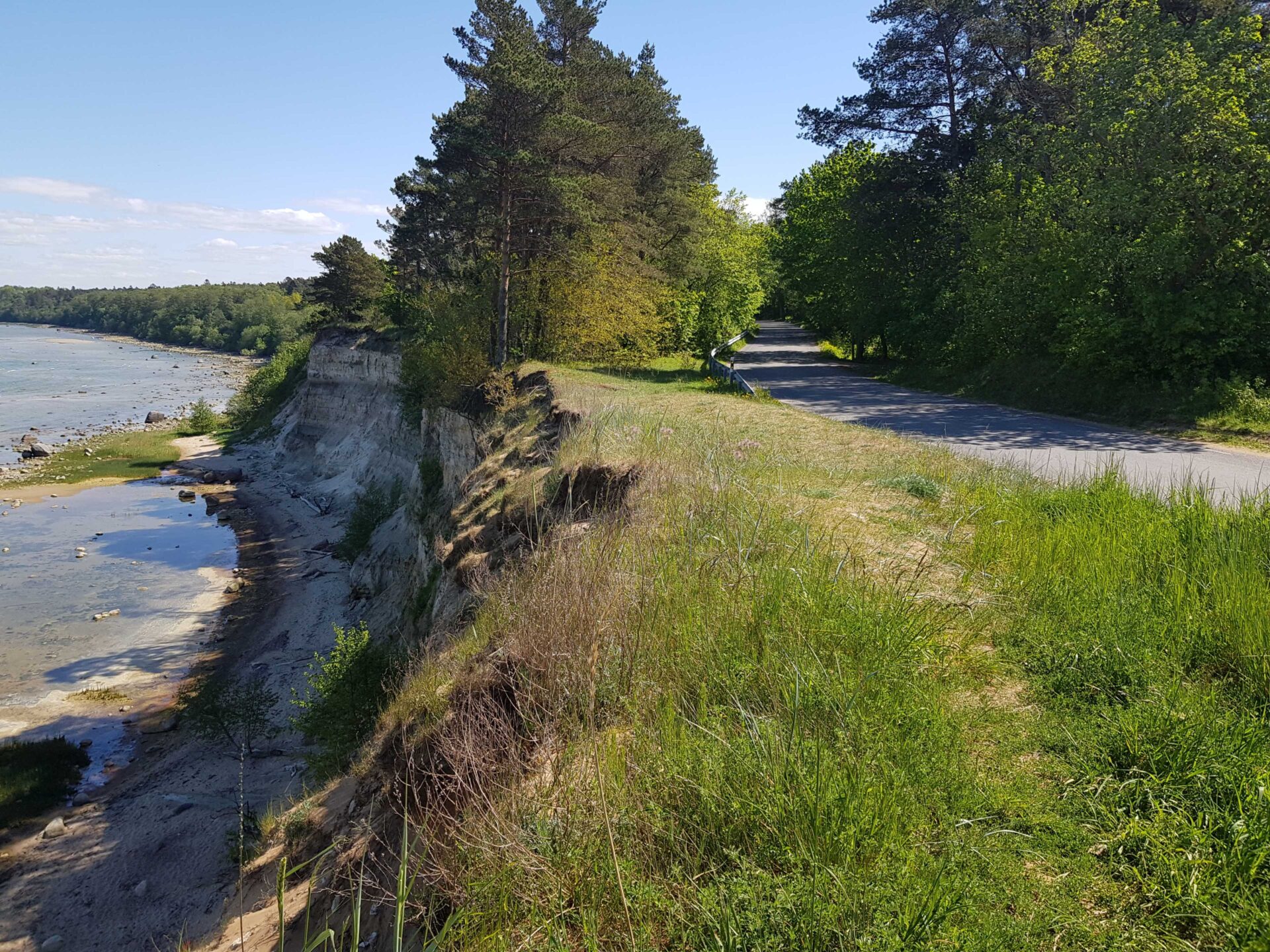 Riigitee nr 11414 Tilgu tee püsivuse eksperthinnangu koostamine